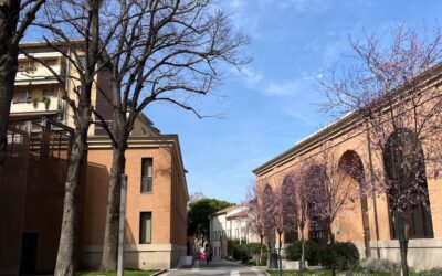 Campus di Rimini