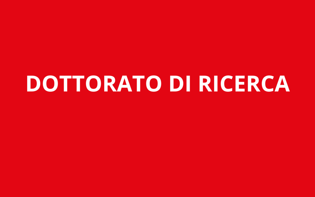 Il dottorato di ricerca: la carriera accademica e in azienda