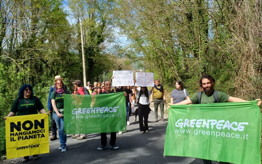 I volontari di Greenpeace Rimini con striscioni in difesa dell'ambiente