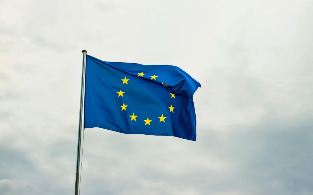 Elezioni europee 2024: come si vota