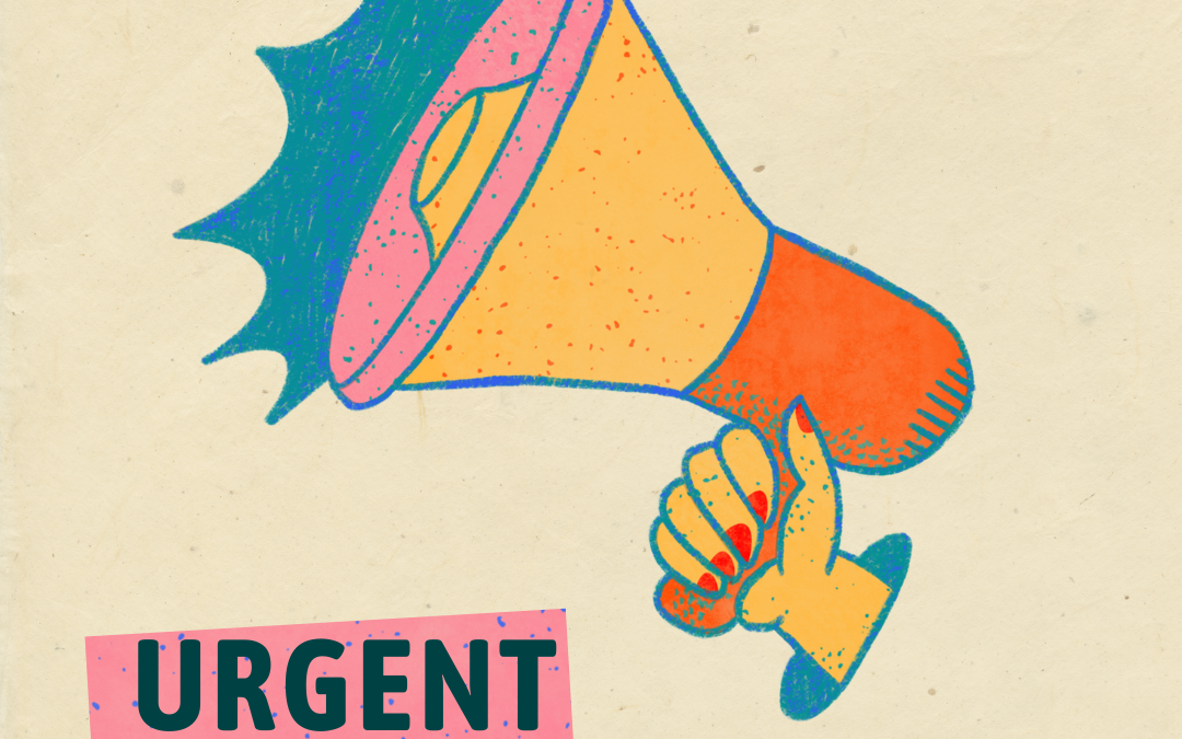 Lancio del Progetto “WE TOO! Partecipation/action/change”: un’opportunità di partecipazione giovanile attiva