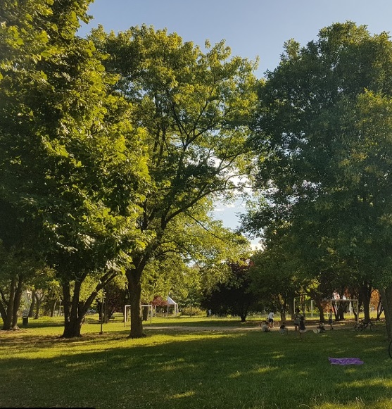 Festa finale “Il tuo sport è la natura”: sport e divertimento al Parco Pertini di Rimini