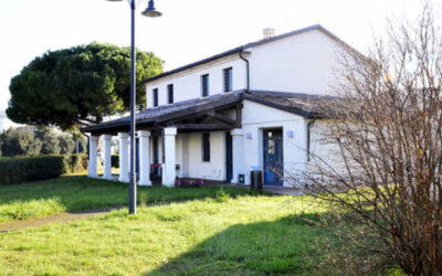 Kas8