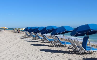 Webinar per scoprire le opportunità di lavoro stagionale in riviera romagnola