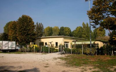 Transgender Day of Visibility: a Rimini torna “Ci vediamo al Parco!”