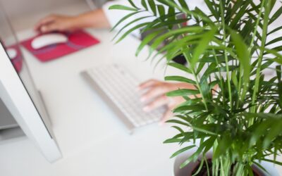 Job position nel ruolo di Segreteria e Front Office