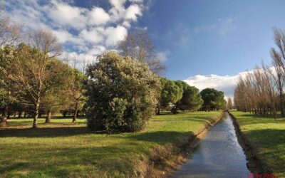 Clean-up a Bellaria Igea-Marina: domenica 12 evento gratuito per prendersi cura dell’ambiente