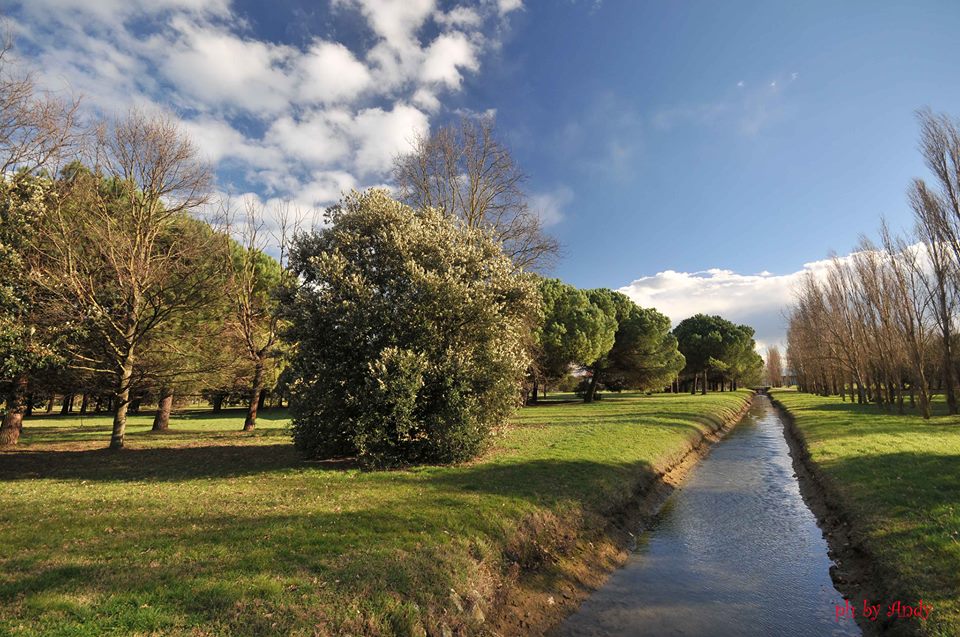 Clean-up a Bellaria Igea-Marina: domenica 12 evento gratuito per prendersi cura dell’ambiente